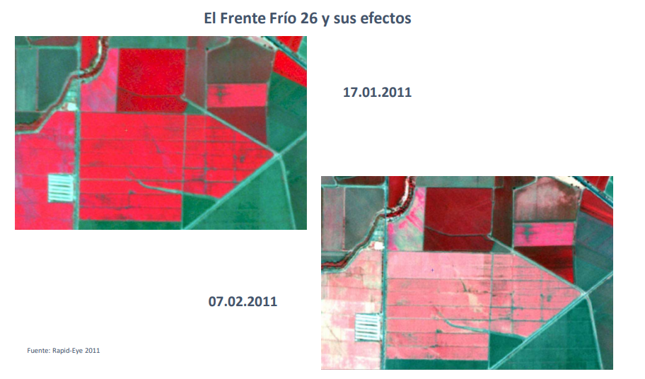 imagenes de NDVI
